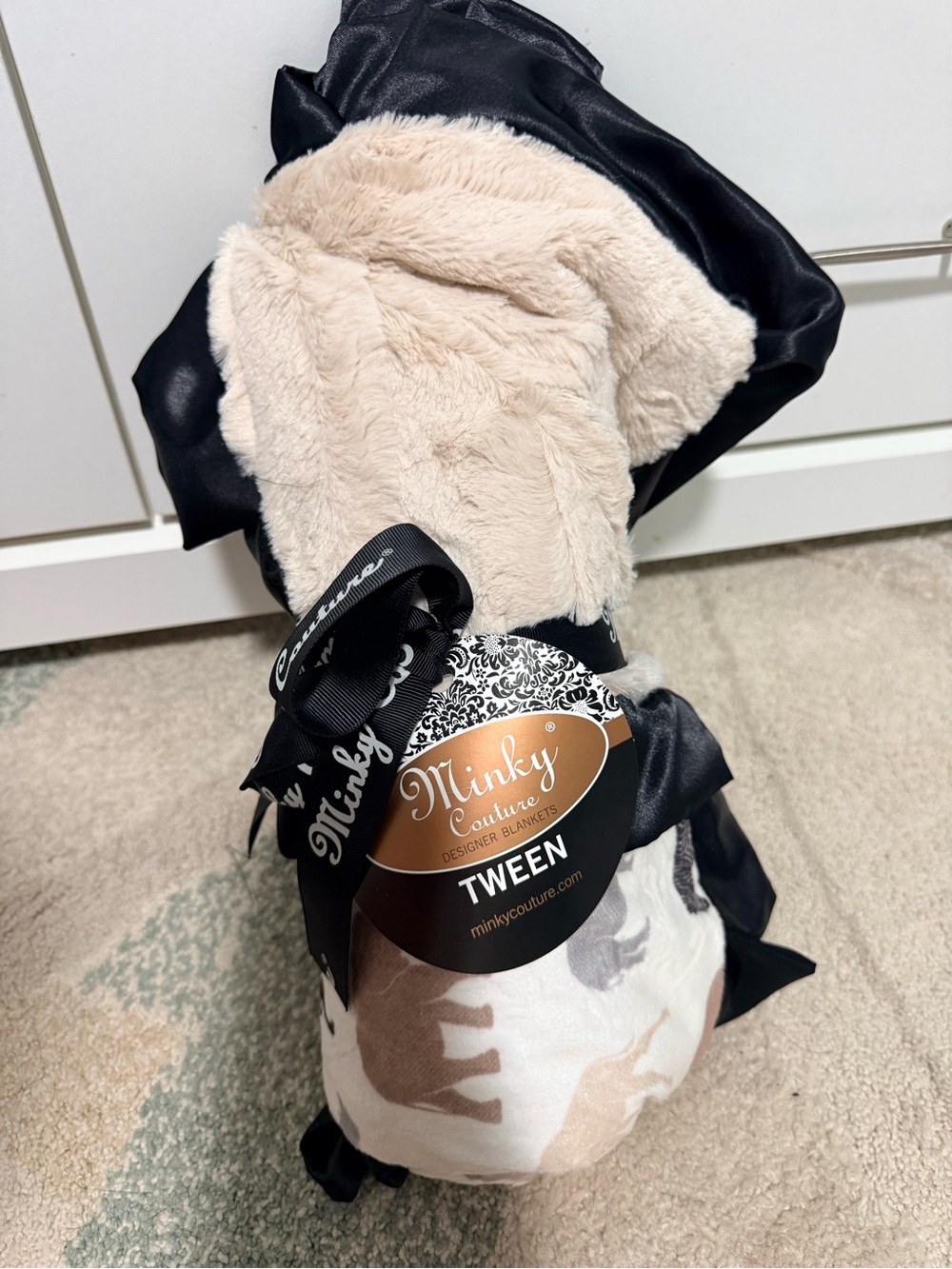 Tween Plush Throw Blanket - Beige/Black